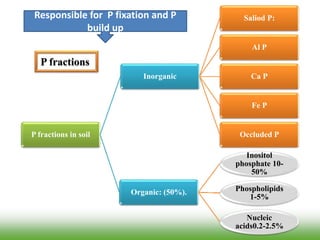 P fractions
P fractions in soil
Inorganic
Saliod P:
Al P
Ca P
Fe P
Occluded P
Organic: (50%).
Inositol
phosphate 10-
50%
Phospholipids
1-5%
Nucleic
acids0.2-2.5%
Responsible for P fixation and P
build up
 