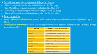Functions in embryogenesis & human body
• Shukra has predominance of ap Mahabhuta. (Su. Sha. 3/3)
• Jala Mahabhuta maintains moisture in foetus. (Su. Sha. 5/3)
• Gustatory systems have predominance of jala. (Cha. Su. 8/14)
• The whitish part in eyeball represents jala. (Su. Sa. Utt. 1/11)
 Marma points
• Injury to Kalantara Pranahara marma leads to death because of predominance of jala with agni
bhuta.
• Vaikalyakara marama possesses jala bhuta predominance. Because of stability and coldness, it helps
in sustaining life.
 