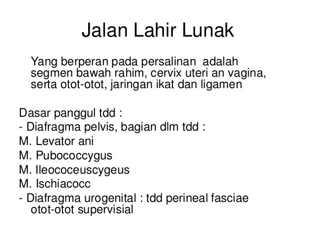 Jalan lahir normal & kala 3 & 4