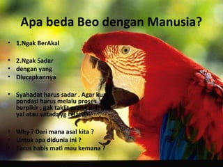 Apa beda Beo dengan Manusia?
• 1.Ngak BerAkal
• 2.Ngak Sadar
• dengan yang
• Diucapkannya
• Syahadat harus sadar . Agar kuat
pondasi harus melalu proses
berpikir , gak taklit orang tua, pak
yai atau ustadz yg relatif
• Why ? Dari mana asal kita ?
• Untuk apa didunia ini ?
• Terus habis mati mau kemana ?
 