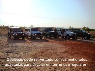 O Jalapão pode ser visitado com caminhonetes
adaptadas para circular em terrenos irregulares.
 