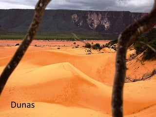Dunas
 