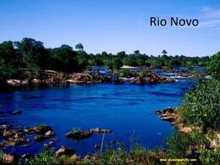 Rio Novo
 