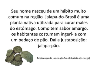 Tubérculos da jalapa-do-Brasil (batata-de-purga)
Seu nome nasceu de um hábito muito
comum na região. Jalapa-do-Brasil é uma
planta nativa utilizada para curar males
do estômago. Como tem sabor amargo,
os habitantes costumam ingerí-la com
um pedaço de pão. Daí a justaposição:
jalapa-pão.
 