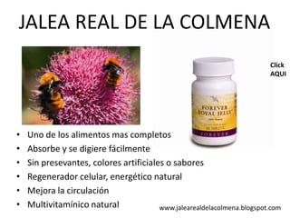 JALEA REAL DE LA COLMENAClickAQUIUno de los alimentosmascompletosAbsorbe y se digierefácilmenteSin presevantes, coloresartificiales o saboresRegeneradorcelular, energético naturalMejora la circulaciónMultivitamínico naturalwww.jalearealdelacolmena.blogspot.com
