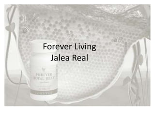 Forever Living
Jalea Real
 
