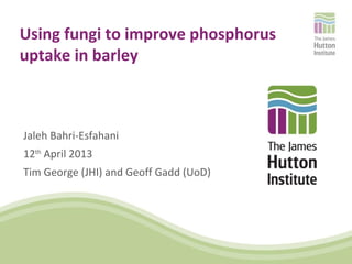 Using fungi to improve phosphorus
uptake in barley
Jaleh Bahri-Esfahani
12th
April 2013
Tim George (JHI) and Geoff Gadd (UoD)
 