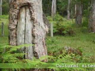 Cultural sitesCultural sites
 