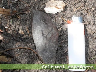 Cultural artefactsCultural artefacts
 