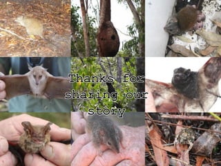 Working On Country - Ngunya Jargoon IPA