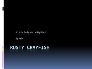 A Little Bully with a Big Pinch

 By Jalin


RUSTY CRAYFISH
 