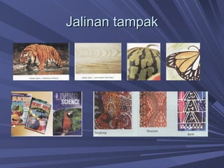 Jalinan tampak 