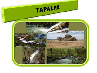 TAPALPA