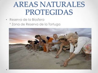 AREAS NATURALES PROTEGIDASReserva de la Biosfera   * Zona de Reserva de la Tortuga