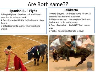 Are Both same??
Spanish Bull Fight
Single Fighter. Deceives bull and inserts
sword at its spine on back.
Sword inserted ...