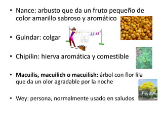 • Nance: arbusto que da un fruto pequeño de
color amarillo sabroso y aromático
• Guindar: colgar
• Chipilin: hierva aromática y comestible
• Macuilis, macuilich o macuilish: árbol con flor lila
que da un olor agradable por la noche
• Wey: persona, normalmente usado en saludos
 