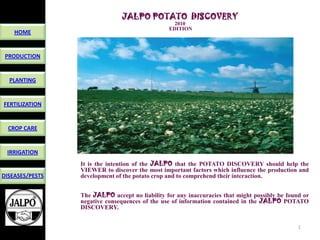 JALPO POTATO DISCOVERY
                                                  2010
                                                EDITION
    HOME


 PRODUCTION


  PLANTING


FERTILIZATION


  CROP CARE


 IRRIGATION
                 It is the intention of the JALPO that the POTATO DISCOVERY should help the
                 VIEWER to discover the most important factors which influence the production and
DISEASES/PESTS   development of the potato crop and to comprehend their interaction.


                 The JALPO accept no liability for any inaccuracies that might possibly be found or
                 negative consequences of the use of information contained in the JALPO POTATO
                 DISCOVERY.


                                                                                               1
 