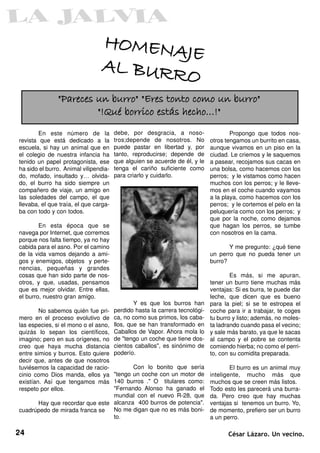 HOMENAJE
                                AL BURRO
               "Pareces un burro" "Eres tonto como un burro"
                        "!Qué borrico estás hecho…!"
        En este número de la           debe, por desgracia, a noso-                  Propongo que todos nos-
revista que está dedicado a la         tros;depende de nosotros. No          otros tengamos un burrito en casa,
escuela, si hay un animal que en       puede pastar en libertad y, por       aunque vivamos en un piso en la
el colegio de nuestra infancia ha      tanto, reproducirse; depende de       ciudad. Le criemos y le saquemos
tenido un papel protagonista, ese      que alguien se acuerde de él, y le    a pasear, recojamos sus cacas en
ha sido el burro. Animal vilipendia-   tenga el cariño suficiente como       una bolsa, como hacemos con los
do, mofado, insultado y… olvida-       para criarlo y cuidarlo.              perros; y le vistamos como hacen
do, el burro ha sido siempre un                                              muchos con los perros; y le lleve-
compañero de viaje, un amigo en                                              mos en el coche cuando vayamos
las soledades del campo, el que                                              a la playa, como hacemos con los
llevaba, el que traía, el que carga-                                         perros; y le cortemos el pelo en la
ba con todo y con todos.                                                     peluquería como con los perros; y
                                                                             que por la noche, como dejamos
        En esta época que se                                                 que hagan los perros, se tumbe
navega por Internet, que corremos                                            con nosotros en la cama.
porque nos falta tiempo, ya no hay
cabida para el asno. Por el camino                                                  Y me pregunto: ¿qué tiene
de la vida vamos dejando a ami-                                              un perro que no pueda tener un
gos y enemigos, objetos y perte-                                             burro?
nencias, pequeñas y grandes
cosas que han sido parte de nos-                                                     Es más, si me apuran,
otros, y que, usadas, pensamos                                               tener un burro tiene muchas más
que es mejor olvidar. Entre ellas,                                           ventajas: Si es burra, te puede dar
el burro, nuestro gran amigo.                                                leche, que dicen que es bueno
                                               Y es que los burros han       para la piel; si se te estropea el
        No sabemos quién fue pri-      perdido hasta la carrera tecnológi-   coche para ir a trabajar, te coges
mero en el proceso evolutivo de        ca, no como sus primos, los caba-     tu burro y listo; además, no moles-
las especies, si el mono o el asno,    llos, que se han transformado en      ta ladrando cuando pasa el vecino;
quizás lo sepan los científicos,       Caballos de Vapor. Ahora mola lo      y sale más barato, ya que le sacas
imagino; pero en sus orígenes, no      de "tengo un coche que tiene dos-     al campo y el pobre se contenta
creo que haya mucha distancia          cientos caballos", es sinónimo de     comiendo hierba; no como el perri-
entre simios y burros. Esto quiere     poderío.                              to, con su comidita preparada.
decir que, antes de que nosotros
tuviésemos la capacidad de racio-          Con lo bonito que sería                   El burro es un animal muy
cinio como Dios manda, ellos ya     "tengo un coche con un motor de          inteligente, mucho más que
existían. Así que tengamos más 140 burros ." O titulares como:               muchos que se creen más listos.
respeto por ellos.                  "Fernando Alonso ha ganado el            Todo esto les parecerá una burra-
                                    mundial con el nuevo R-28, que           da. Pero creo que hay muchas
        Hay que recordar que este alcanza 400 burros de potencia".           ventajas si tenemos un burro. Yo,
cuadrúpedo de mirada franca se      No me digan que no es más boni-          de momento, prefiero ser un burro
                                    to.                                      a un perro.

24                                                                                  César Lázaro. Un vecino.
 