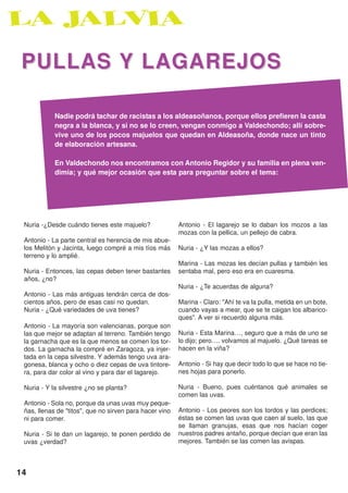 PULLAS Y LAGAREJOS

            Nadie podrá tachar de racistas a los aldeasoñanos, porque ellos prefieren la casta
            negra a la blanca, y si no se lo creen, vengan conmigo a Valdechondo; allí sobre-
            vive uno de los pocos majuelos que quedan en Aldeasoña, donde nace un tinto
            de elaboración artesana.

            En Valdechondo nos encontramos con Antonio Regidor y su familia en plena ven-
            dimia; y qué mejor ocasión que esta para preguntar sobre el tema:




 Nuria -¿Desde cuándo tienes este majuelo?               Antonio - El lagarejo se lo daban los mozos a las
                                                         mozas con la pellica, un pellejo de cabra.
 Antonio - La parte central es herencia de mis abue-
 los Melitón y Jacinta, luego compré a mis tíos más      Nuria - ¿Y las mozas a ellos?
 terreno y lo amplié.
                                                         Marina - Las mozas les decían pullas y también les
 Nuria - Entonces, las cepas deben tener bastantes       sentaba mal, pero eso era en cuaresma.
 años, ¿no?
                                                         Nuria - ¿Te acuerdas de alguna?
 Antonio - Las más antiguas tendrán cerca de dos-
 cientos años, pero de esas casi no quedan.              Marina - Claro: "Ahí te va la pulla, metida en un bote,
 Nuria - ¿Qué variedades de uva tienes?                  cuando vayas a mear, que se te caigan los albarico-
                                                         ques". A ver si recuerdo alguna más.
 Antonio - La mayoría son valencianas, porque son
 las que mejor se adaptan al terreno. También tengo      Nuria - Esta Marina…, seguro que a más de uno se
 la garnacha que es la que menos se comen los tor-       lo dijo; pero…. volvamos al majuelo. ¿Qué tareas se
 dos. La garnacha la compré en Zaragoza, ya injer-       hacen en la viña?
 tada en la cepa silvestre. Y además tengo uva ara-
 gonesa, blanca y ocho o diez cepas de uva tintore-      Antonio - Si hay que decir todo lo que se hace no tie-
 ra, para dar color al vino y para dar el lagarejo.      nes hojas para ponerlo.

 Nuria - Y la silvestre ¿no se planta?                   Nuria - Bueno, pues cuéntanos qué animales se
                                                         comen las uvas.
 Antonio - Sola no, porque da unas uvas muy peque-
 ñas, llenas de "titos", que no sirven para hacer vino   Antonio - Los peores son los tordos y las perdices;
 ni para comer.                                          éstas se comen las uvas que caen al suelo, las que
                                                         se llaman granujas, esas que nos hacían coger
 Nuria - Si te dan un lagarejo, te ponen perdido de      nuestros padres antaño, porque decían que eran las
 uvas ¿verdad?                                           mejores. También se las comen las avispas.



14
 