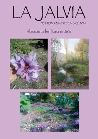 NÚMERO 28 - DICIEMBRE 2014
LA JALVIA
Aldeasoña también florece en otoño
 