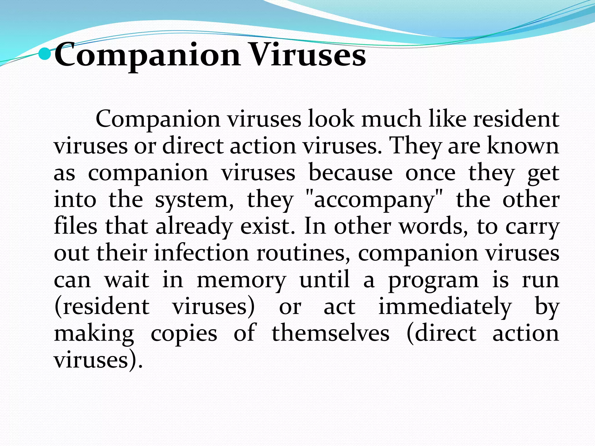 Companion Viruses
     Companion viruses look much like resident
viruses or direct action viruses. They are known
as companion viruses because once they get
into the system, they "accompany" the other
files that already exist. In other words, to carry
out their infection routines, companion viruses
can wait in memory until a program is run
(resident viruses) or act immediately by
making copies of themselves (direct action
viruses).
 