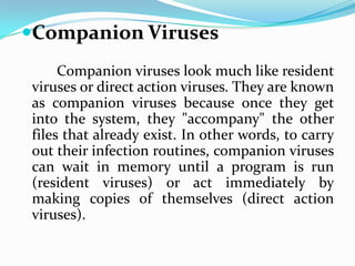 Companion Viruses
     Companion viruses look much like resident
viruses or direct action viruses. They are known
as companion viruses because once they get
into the system, they "accompany" the other
files that already exist. In other words, to carry
out their infection routines, companion viruses
can wait in memory until a program is run
(resident viruses) or act immediately by
making copies of themselves (direct action
viruses).
 