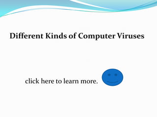 Different Kinds of Computer Viruses




    click here to learn more.
 