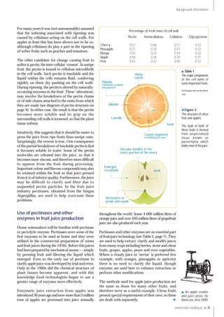 www.ncbe.reading.ac.uk |5
For many years it was (not unreasonably) assumed
that the softening associated with ripening was
caused by cellulases acting on the cell walls. For
apples at least this has been shown not to be so,
although cellulases do play a part in the ripening
of softer fruits such as peaches and tomatoes.
The other candidate for change causing fruit to
soften is pectin, the inter-cellular ‘cement’. In unripe
fruit, the pectin is bound to cellulose microﬁbrils
in the cell walls. Such pectin is insoluble and the
liquid within the cells remains ﬂuid, conferring
rigidity on them (by pushing on the cell wall).
During ripening, the pectin is altered by naturally-
occurring enzymes in the fruit. These ‘alterations’
may involve the breakdown of the pectin chains
or of side chains attached to the units from which
they are made (see diagram of pectin structure on
page 9). In either case, the result is that the pectin
becomes more soluble and its grip on the
surrounding cell walls is loosened, so that the plant
tissue softens.
Intuitively, this suggests that it should be easier to
press the juice from ripe fruits than unripe ones.
Surprisingly, the reverse is true. One consequence
of the partial breakdown of insoluble pectin is that
it becomes soluble in water. Some of the pectin
molecules are released into the juice, so that it
becomes more viscous, and therefore more difﬁcult
to squeeze from the fruit during processing.
Important colour and ﬂavour compounds may also
be retained within the fruit so that juice pressed
from it is of inferior quality. Furthermore, the juice
may be difﬁcult to clarify and ﬁlter due to
suspended pectin particles. In the fruit juice
industry pectinases, obtained from the fungus
Aspergillus, are used to help overcome these
problems.
Use of pectinases and other
enzymes in fruit juice production
Home winemakers will be familiar with pectinase
or pectolytic enzyme. Pectinases were some of the
ﬁrst enzymes to be used at home and they were
utilised in the commercial preparation of wines
and fruit juices during the 1930s. Before this juices
had been prepared by mechanical means — simply
by pressing fruit and ﬁltering the liquid which
emerged. Even so the early use of pectinase to
clarify apple juice was developed by trial and error.
Only in the 1960s did the chemical structure of
plant tissues become apparent, and with this
knowledge food technologists began to use a
greater range of enzymes more effectively.
Enzymatic juice extraction from apples was
introduced30yearsagoandnowmorethan5million
tons of apples are processed into juice annually
throughout the world. Some 4 000 million litres of
orange juice and over 450 million litres of grapefruit
juice are also produced each year.
Pectinases and other enzymes are an essential part
of fruit juice technology (see Table 2, page 7). They
are used to help extract, clarify and modify juices
from many crops including berries, stone and citrus
fruits, grapes, apples, pears and even vegetables.
Where a cloudy juice or ‘nectar’ is preferred (for
example, with oranges, pineapples or apricots)
there is no need to clarify the liquid, though
enzymes are used here to enhance extraction or
perform other modiﬁcations.
The methods used for apple juice production are
the same as those for many other fruits, and
therefore serve as a useful example. Citrus fruits
present special requirements of their own, so these
are dealt with separately.  
Background information
Percentage of fresh mass of cell wall
Pectin Hemicellulose Cellulose Glycoprotein
Cherry 0.51 0.06 0.17 0.32
Pineapple 0.21 0.35 0.27 0.12
Mango 1.02 0.23 0.59 0.32
Apple 0.54 0.34 0.70 0.15
Pear 0.42 0.22 0.40 0.12
Table1
The major components
of the cell walls of
some important fruits.
FromVoragen and van den Broek,
1991.
An apple crusher
and juice press, for
home use,circa 1890.
Albedo
Flavedo
containing oil glands
and pigments
Lamella
Carpel (segment)
containing juice sacs
Seed
Waxy
cuticle
Seed
Enlarged
receptacle
Remmants of
petals and sepals
Vascular bundles in the
outer portion of the ovary
Figure 2
The structure of citrus
fruit and apples.
The bulk of both of
these fruits is formed
from unspecialised
tissue known as
parenchyma, which
holds most of the juice.
 