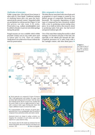 www.ncbe.reading.ac.uk |9
Background information
Figure 6
The action of four of
the major enzymes
found in pectinase
preparations.
A representation of the structure of pectin lyase,
generated from X-ray crystallographic data.The protein is
composed of two symmetrical amino acid chains (i and ii).
β-pleated sheets are shown in yellow; α-helices are
magenta. The remainder of each amino acid chain is
depicted as a grey-coloured string.
The structure data for this model was obtained from the
Protein Data Bank, and can be found by searching for the
structure: 1IDJ www.rcsb.org/pdb/
Pectin molecules are composed of chains of between
300–1 000 galacturonic acid residues.The upper chain
(a) shows high methoxyl pectin;the lower chain (b) shows
low methoxyl pectin. Recent research has revealed that
the pectin chains in fruit are highly branched or ‘hairy’,
with a variety of other sugars forming side chains that
require additional enzymes to break them down.
i
ii
pectin (methyl) esterase
splits off methoxyl groups,
forming methanol and low
methoxyl pectin
pectin lyase
breaks links between
esteriﬁed galacturonic
acid residues
galacturonic
acid residue
a non-esterified galacturonic
acid residue which lacks an
ester (methoxyl) group
COOCH3
O
COOCH3
O
COOH
O
CO OCH3
O
COOH
O
H2O
CH3 OH
pectin (methyl) esterase
splits off methoxyl groups,
forming methanol and low
methoxyl pectin
COOCH3
O
OH
OH
OHO
endo-polygalacturonase and
pectate lyase break bonds
between non-esteriﬁed
galacturonic acid residues
exo-polygalacturonase
breaks links between
non-esteriﬁed galacturonic acid
molecules at the (non-reducing)
ends of chains
COOH
O
COOH
O
COOH
O
COOH
O
COOH
O
non-reducing
end of a
polygalacturonic
acid chain
O O O O
O O O O
O
O
OH
OH
OH
OH
OH
OH
OH
OH
OH
OH
OH
OH
OH
OH
OH
OH
OH
OH
OH
OH
HO
a
b
w
Clariﬁcation of lemon juice
Unlike orange juice, that derived from lemons is
often sold as a clear liquid. Traditional methods
of clarifying lemon juice rely upon the fruit’s
natural pectin esterase content. Suspended solids
are precipitated as calcium pectate (Figure 5), but
this process can take some 4–16 weeks.
Preservatives (e.g., sodium metabisulphite) must
be added to the juice to prevent microbial spoilage
during this period.
Fungal enzymes are now available which exhibit
pectolytic activity even in very acidic juices such
as lemon (pH 2.2–2.8). Their use enables
clariﬁcation to be achieved in 6 hours without the
need for preservatives.
Bitter compounds in citrus fruits
The bitter ﬂavour associated with citrus fruits such
as grapefruit or navel oranges is caused by two
distinct groups of compounds: ﬂavonoids and
limonoids. The enzymatic degradation of both
types of compound has been extensively studied
with a view to producing sweeter-tasting citrus
juices. As we shall see below, this research, aimed
at producing tastier fruit juice, has had several
unexpected medical spin-offs.
One of the main bitter-tasting ﬂavonoids is called
naringin. It is found in all parts of the fruit, but
especially in the albedo just beneath the skin.
Grapefruit processors try to select fruits with a
low naringin content, and often blend juices  
 