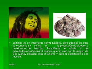 Jamaica e s un importante centro turístico, pero ademas de esto su economía se centra en  la producción de algodón y la extracción de bauxita. También se le añade a las actividades económicas el negocio que se creo con la imagen de Bob Marley utilizada para el turismo y para la explotación de la música.  