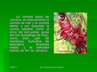 La comida tipica de Jamaica es básicamente la comida de mar y la comida isleña, y por supuesto la cocina rastafari como el arroz ital con judías, guiso ital con dumplings de maíz, zumo sion, pan de mandioca, buñuelos de berenjena, brownies rastas, y la deliciosa bebida de flor de Jamaica.   
