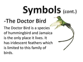 Symbols(cont.)-The Doctor BirdThe Doctor Bird is a species of hummingbird and Jamaica is the only place it lives. It has iridescent feathers which is limited to this family of birds.
