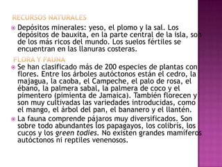 Recursos naturalesDepósitos minerales: yeso, el plomo y la sal. Los depósitos de bauxita, en la parte central de la isla, son de los más ricos del mundo. Los suelos fértiles se encuentran en las llanuras costeras.Se han clasificado más de 200 especies de plantas con flores. Entre los árboles autóctonos están el cedro, la majagua, la caoba, el Campeche, el palo de rosa, el ébano, la palmera sabal, la palmera de coco y el pimentero (pimienta de Jamaica). También florecen y son muy cultivadas las variedades introducidas, como el mango, el árbol del pan, el bananero y el llantén.La fauna comprende pájaros muy diversificados. Son sobre todo abundantes los papagayos, los colibrís, los cucos y los green todies. No existen grandes mamíferos autóctonos ni reptiles venenosos.flora y fauna