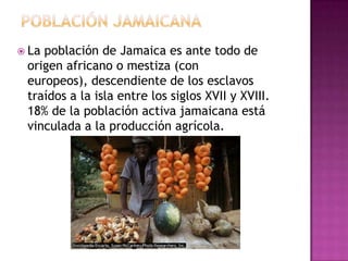 Población jamaicanaLa población de Jamaica es ante todo de origen africano o mestiza (con europeos), descendiente de los esclavos traídos a la isla entre los siglos XVII y XVIII. 18% de la población activa jamaicana está vinculada a la producción agrícola.