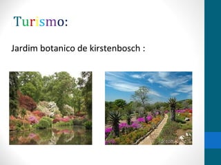 Turismo: 
Jardim botanico de kirstenbosch : 
 