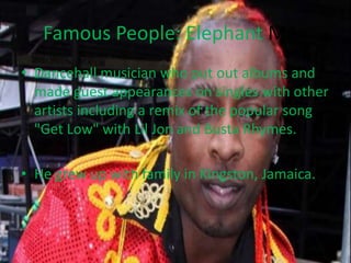 Famous People: Elephant Man
• Dancehall musician who put out albums and
made guest appearances on singles with other
artists including a remix of the popular song
"Get Low" with Lil Jon and Busta Rhymes.
• He grew up with family in Kingston, Jamaica.
 
