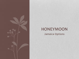 Jamaica Options
HONEYMOON
 