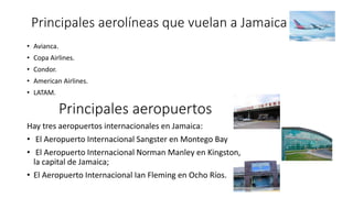 Principales aerolíneas que vuelan a Jamaica
• Avianca.
• Copa Airlines.
• Condor.
• American Airlines.
• LATAM.
Principales aeropuertos
Hay tres aeropuertos internacionales en Jamaica:
• El Aeropuerto Internacional Sangster en Montego Bay
• El Aeropuerto Internacional Norman Manley en Kingston,
la capital de Jamaica;
• El Aeropuerto Internacional Ian Fleming en Ocho Ríos.
 