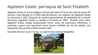 Appleton Estate- parroquia de Saint Elizabeth
Appleton Estate es la más antigua y famosa de todas las fincas de caña de azúcar de
Jamaica. Está ubicado en el fértil valle de Nassau. Los orígenes de Appleton Estate
se remontan a 1655. Después de muchas generaciones de propiedad de la familia
Dickinson, Appleton Estate se vendió a la familia en 1845. Durante estos años,
Appleton Estate estaba produciendo varios rones de marihuana diferentes, y
comenzó a ganar una reputación como fuente confiable de ron de calidad, una
reputación que continúa hasta nuestros días.
Duración del tour es de 7 horas, se sugiere traer cámara fotográfica
 