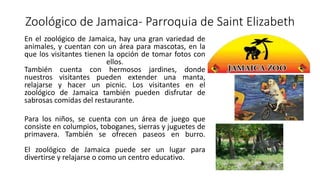 Zoológico de Jamaica- Parroquia de Saint Elizabeth
En el zoológico de Jamaica, hay una gran variedad de
animales, y cuentan con un área para mascotas, en la
que los visitantes tienen la opción de tomar fotos con
ellos.
También cuenta con hermosos jardines, donde
nuestros visitantes pueden extender una manta,
relajarse y hacer un picnic. Los visitantes en el
zoológico de Jamaica también pueden disfrutar de
sabrosas comidas del restaurante.
Para los niños, se cuenta con un área de juego que
consiste en columpios, toboganes, sierras y juguetes de
primavera. También se ofrecen paseos en burro.
El zoológico de Jamaica puede ser un lugar para
divertirse y relajarse o como un centro educativo.
 