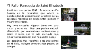 YS Falls- Parroquia de Saint Elizabeth
Abrió sus puertas en 1992 . Es una atracción
basada en la naturaleza que ofrece la
oportunidad de experimentar la belleza de las
cascadas rodeadas de exuberantes jardines y
magníficos árboles.
Hay siete cascadas. Algunas áreas son para
nadar y otras no. Hay una piscina natural,
alimentada por manantiales subterráneos y
sobre el suelo, que es más adecuada para
niños y otras personas que no pueden nadar.
Las adiciones más recientes a las atracciones
en YS Falls, incluyen emocionantes paseos en
canopy.
 