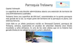 Parroquia Trelawny
Capital: Falmouth
La superficie de esta división administrativa abarca una extensión de territorio de
unos 874 kilómetros cuadrados.
Trelawny tiene una superficie de 874 km², convirtiéndola en la quinta parroquia
más grande de la isla. La mayor parte del territorio de la parroquia es plano, con
extensas llanuras.
Usain Bolt es un atleta jamaicano nacido en Sherwood Content, parroquia de
Trelawny, Jamaica, especialista en pruebas de velocidad. Ostenta once títulos
mundiales y ocho olímpicos. Es uno de los siete atletas que en la historia han
ganado títulos en las categorías juvenil, junior y absoluta.
 