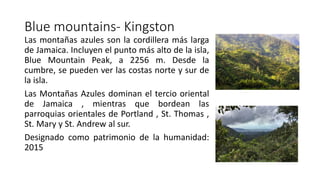 Blue mountains- Kingston
Las montañas azules son la cordillera más larga
de Jamaica. Incluyen el punto más alto de la isla,
Blue Mountain Peak, a 2256 m. Desde la
cumbre, se pueden ver las costas norte y sur de
la isla.
Las Montañas Azules dominan el tercio oriental
de Jamaica , mientras que bordean las
parroquias orientales de Portland , St. Thomas ,
St. Mary y St. Andrew al sur.
Designado como patrimonio de la humanidad:
2015
 