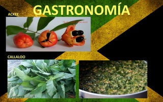 ACKEE

CALLALOO

GASTRONOMÍA

 