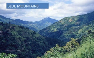 BLUE MOUNTAINS

 