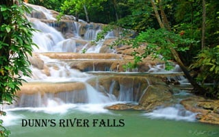DUNN’S RIVER FALLS

 
