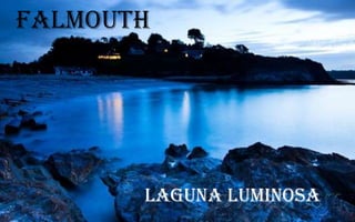 FALMOUTH

LAGUNA LUMINOSA

 