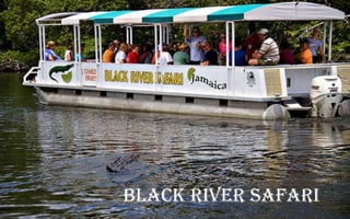 BLACK RIVER SAFARI

 