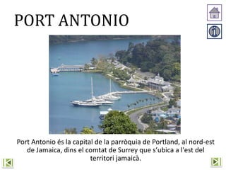 PORT ANTONIO
Port Antonio és la capital de la parròquia de Portland, al nord-est
de Jamaica, dins el comtat de Surrey que s’ubica a l'est del
territori jamaicà.
 