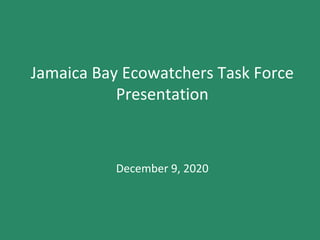 Jamaica Bay Ecowatchers Task Force
Presentation
December 9, 2020
 